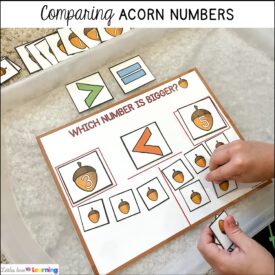 Fun Scaredy Squirrel Activities for Preschool, Pre-K, Kindergarten