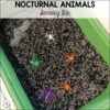 Nocturnal-Animals-Activities-18