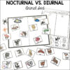 Nocturnal-Animals-Activities-3