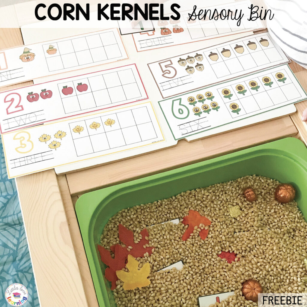 Thanksgiving Sensory Bin for Preschool: Corn Kernels with FREE fall number mats.