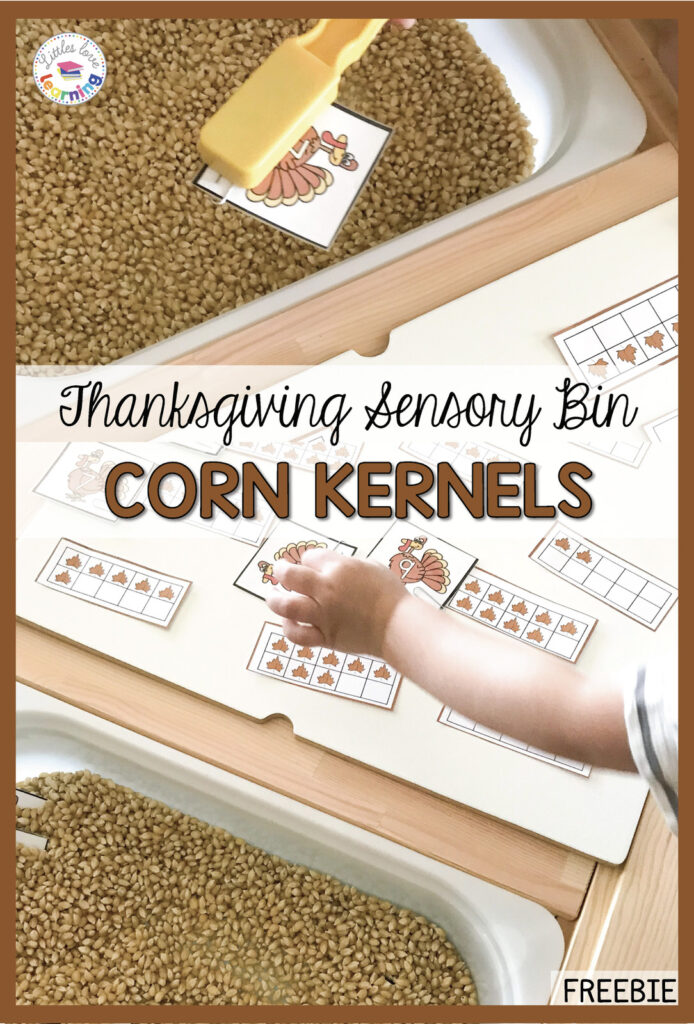 Thanksgiving Sensory Bin for Preschool: Corn Kernels