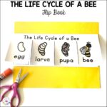 Busy Bugs &amp; Insects Preschool &amp; Pre-K Math &amp; Literacy Printables
