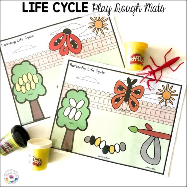 Busy Bugs &amp; Insects Preschool &amp; Pre-K Math &amp; Literacy Printables