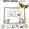 Zoo-preschool-printable-pack-16