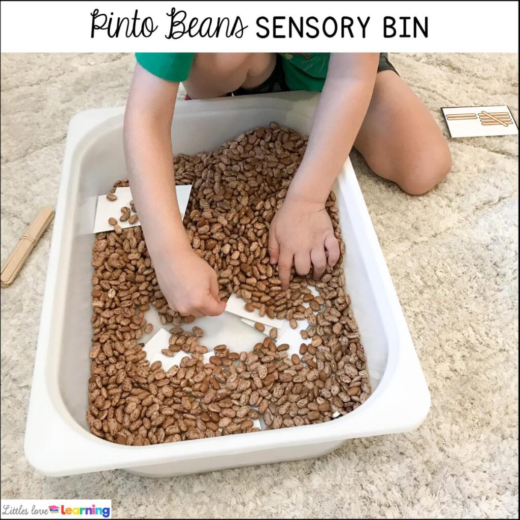 All About Me activities for preschool, pre-k, and kindergarten: Pinto Beans Sensory Bin