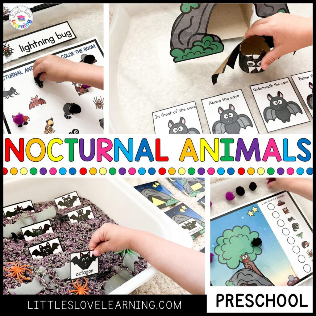 Nocturnal Animals activities for preschool, pre-k, and kindergarten 