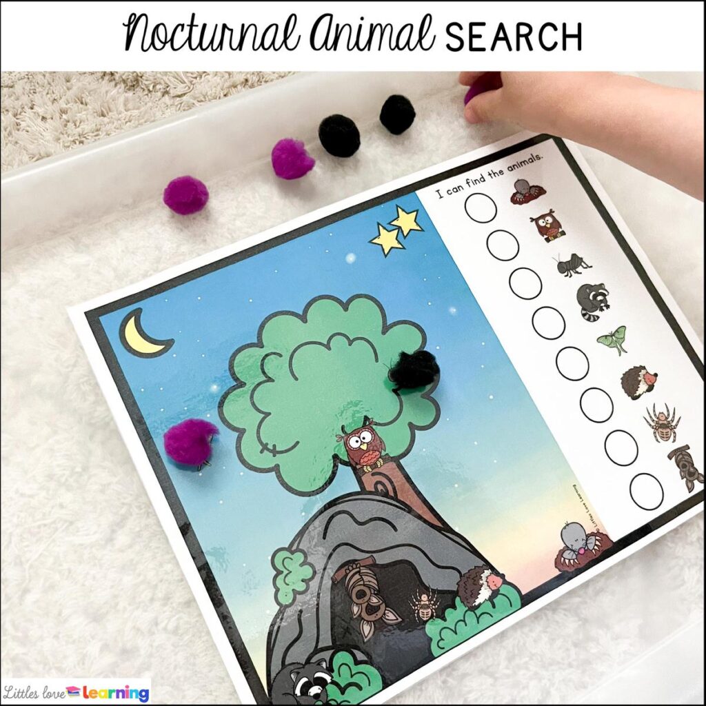 Nocturnal Animals animal search for preschool, pre-k, and kindergarten 