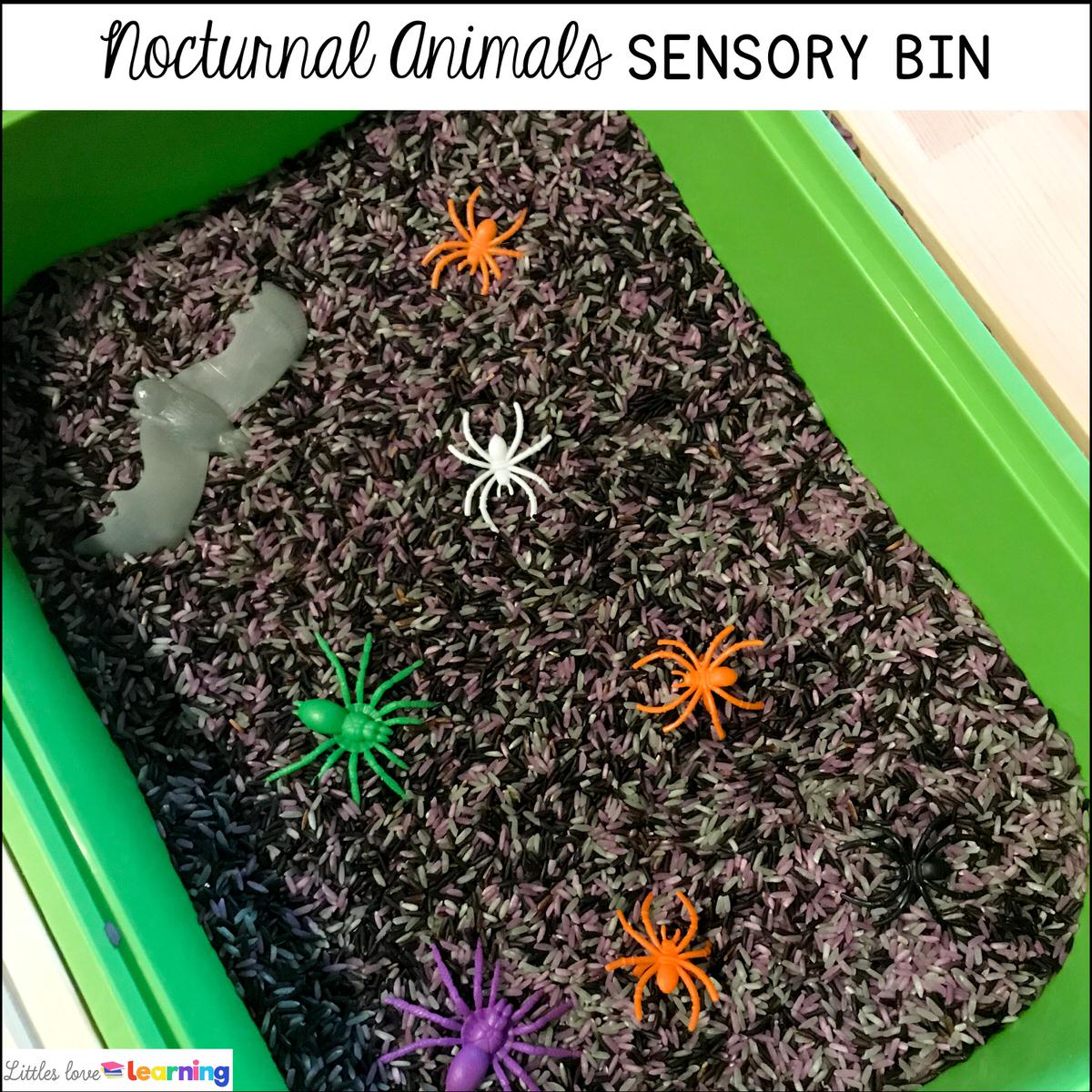 Nocturnal animals sensory bin for preschool, pre-k, and kindergarten 