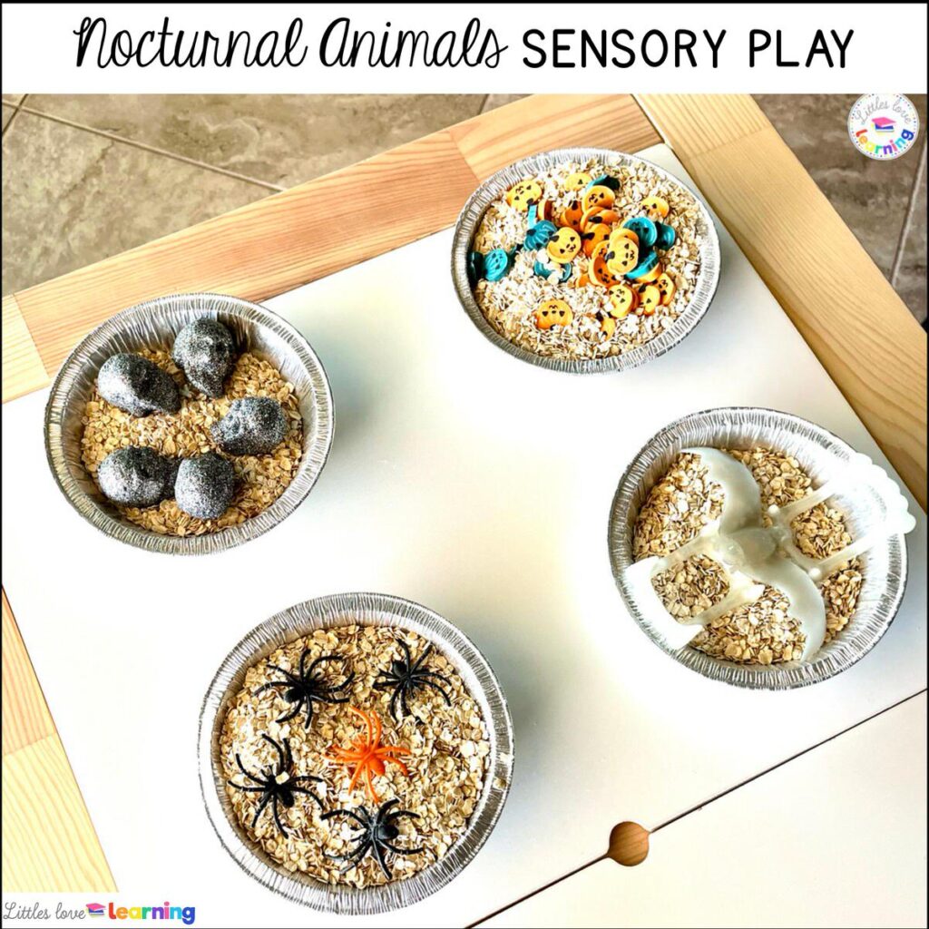 Nocturnal animals sensory play for preschool, pre-k, and kindergarten 