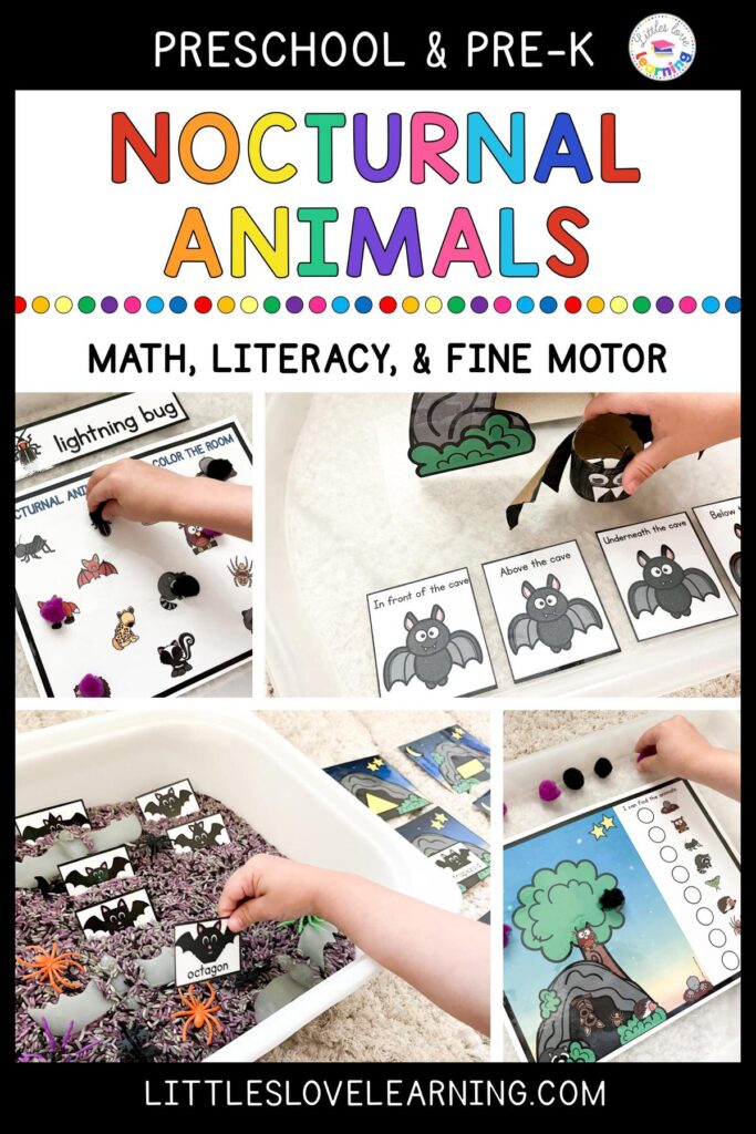 Nocturnal animals activities for preschool, pre-k, and kindergarten 