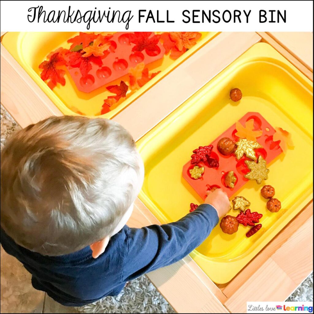 Kindergarten, Pre-K, and Preschool Thanksgiving Fall Sensory Bin