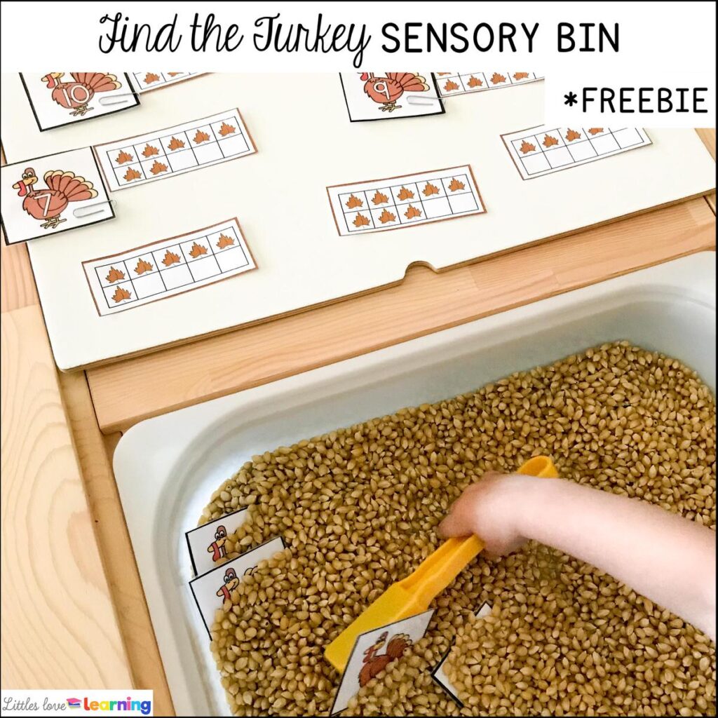 Kindergarten, Pre-K, and Preschool Thanksgiving Find the Turkey Sensory Bin with Free Printable 