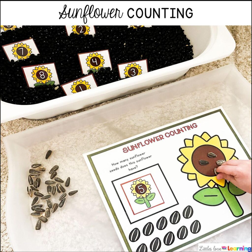 Fall sunflower counting activity for preschool, pre-k, and kindergarten 