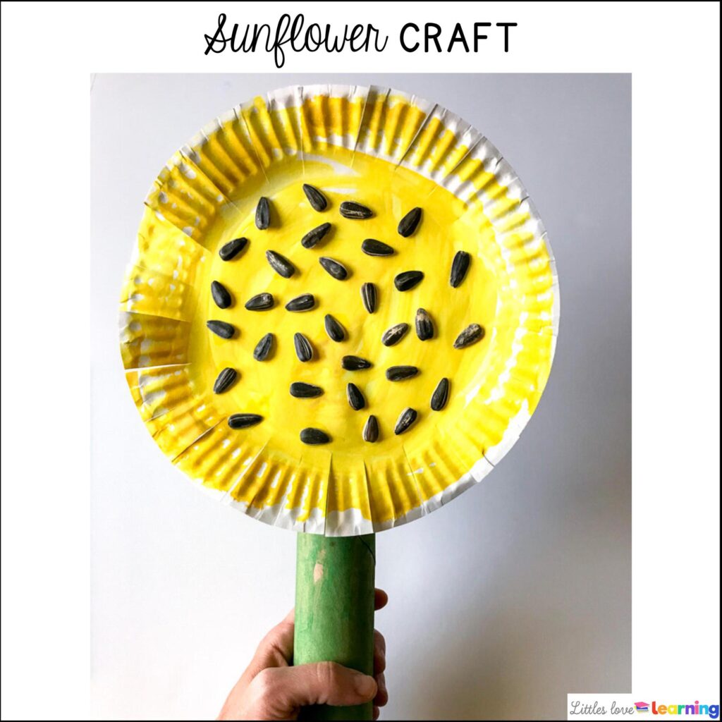 The Tiny Seed flower craft for preschool, pre-k, and kindergarten inspired by Eric Carle's spring book
