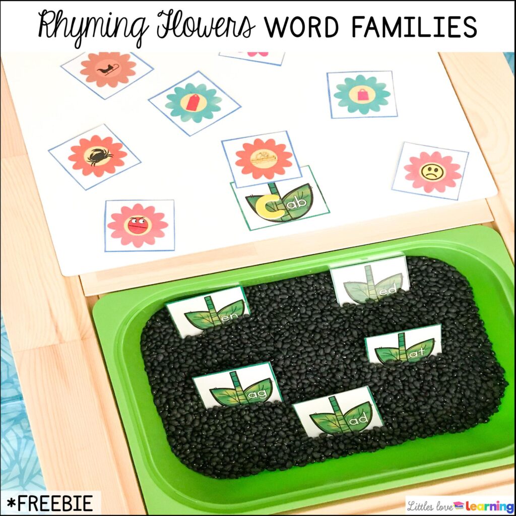 FREE Rhyming Flowers Word Families activity for preschool, pre-k, and kindergarten inspired by Eric Carle's book The Tiny Seed